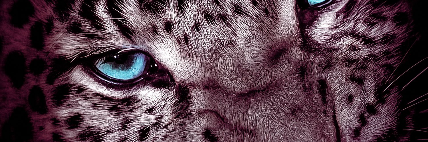 DKIntelligence's profile banner image