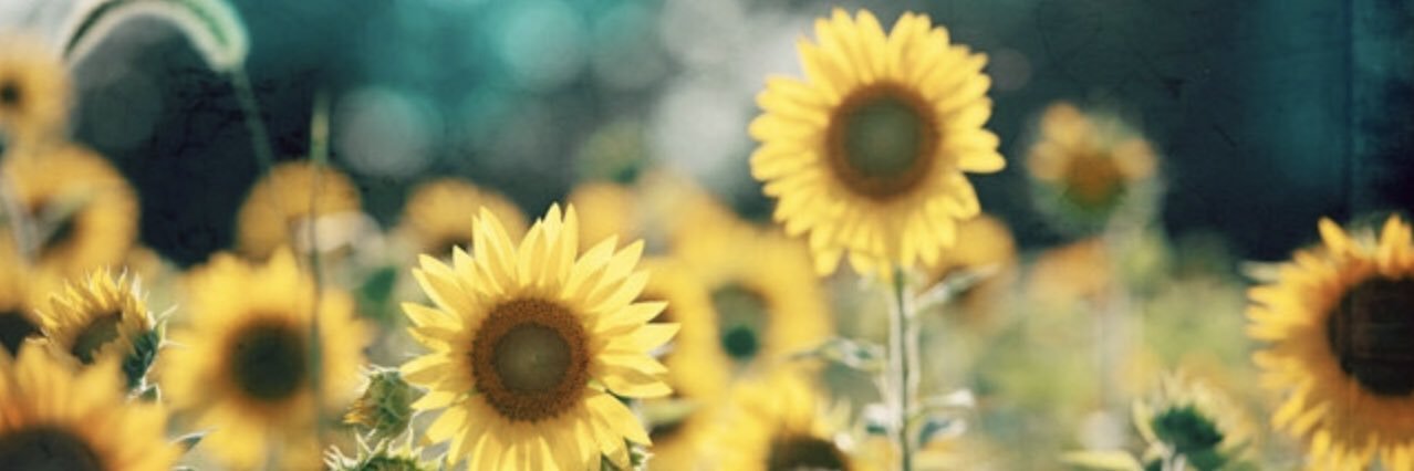 SharnieWasley's profile banner image
