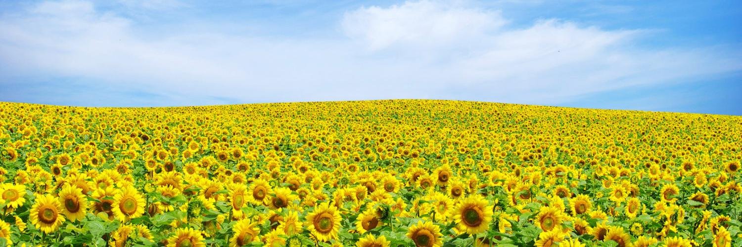 jongu3x's profile banner image