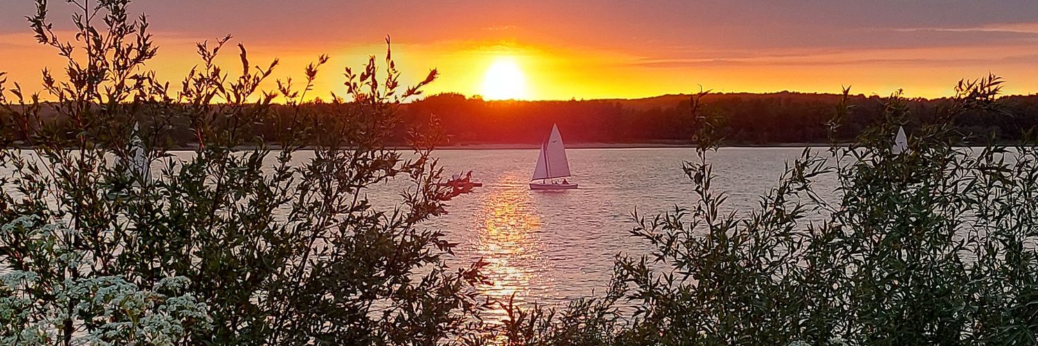 ♥️🌷Mariel Schaab 🇳🇱 BizzSurfer! Agentic AI banner