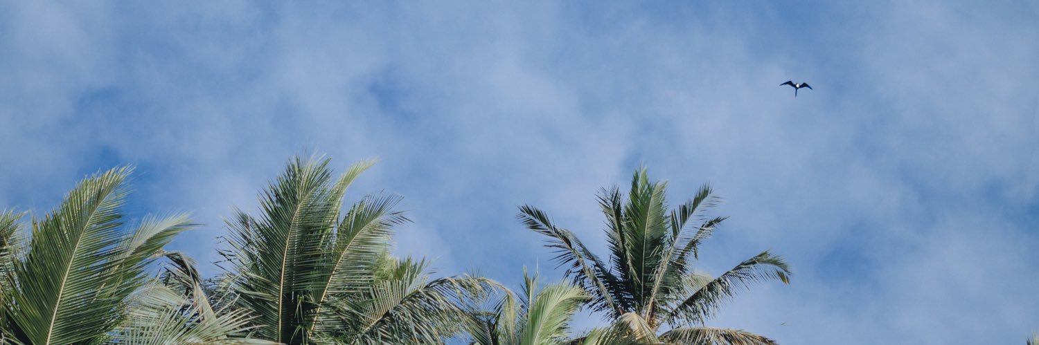 jay_millsy_'s profile banner image
