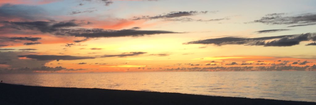 Xoxbala's profile banner image