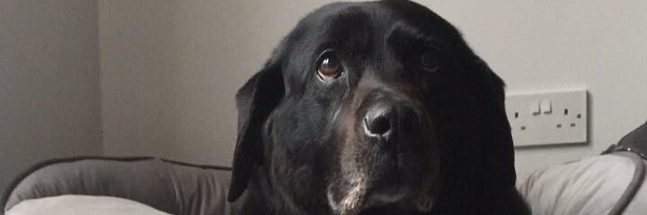 keelysmith9's profile banner image
