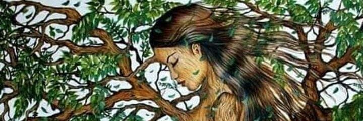 alinefsilva2012's profile banner image