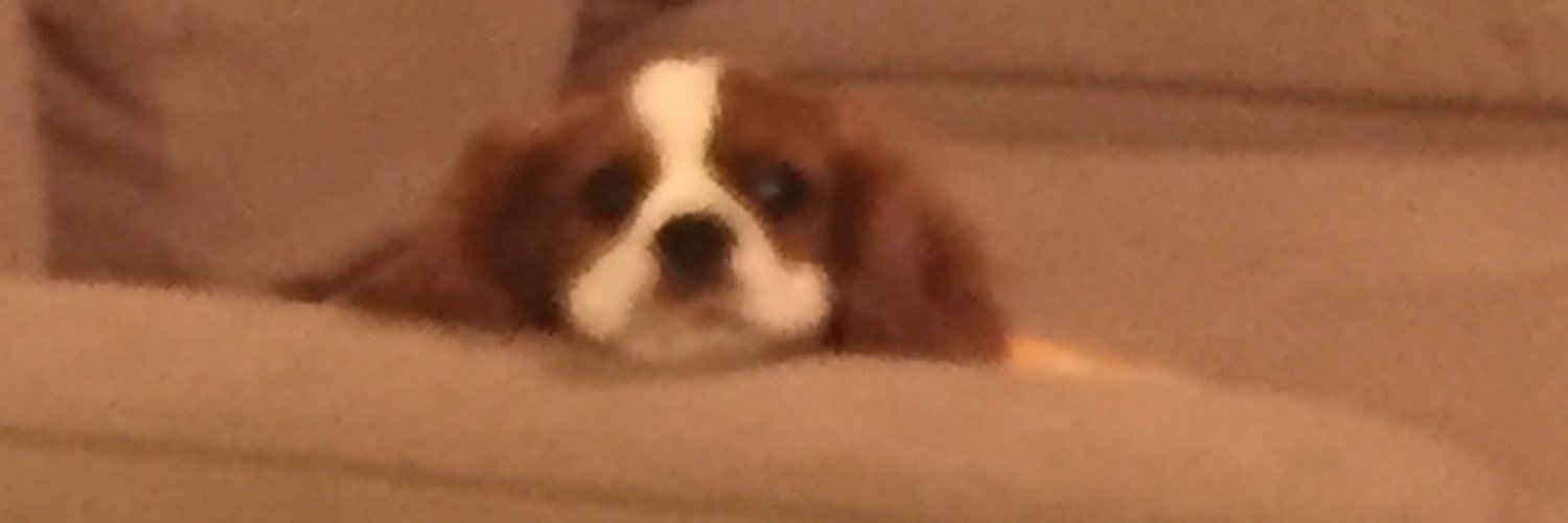 leschmerb's profile banner image