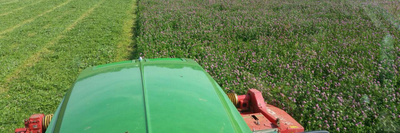 Michaela van Leeuwen banner