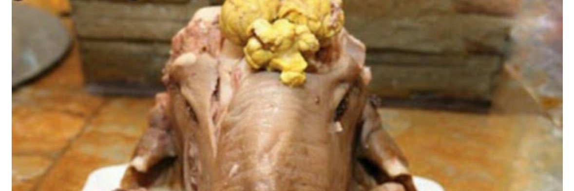 سحر banner