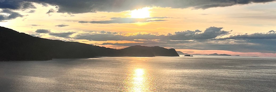 Layla Bellach banner