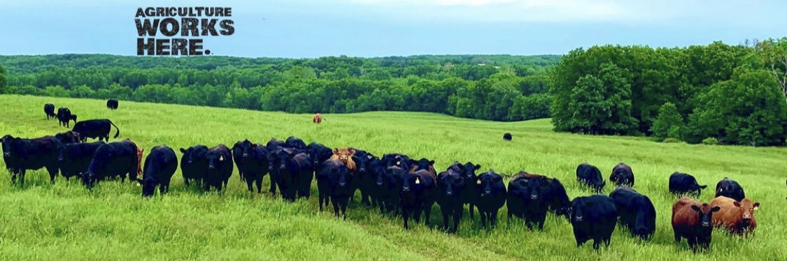 CraneFarmCattle's profile banner image