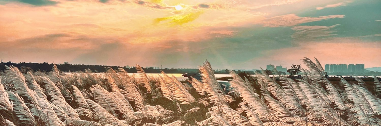callbee's profile banner image