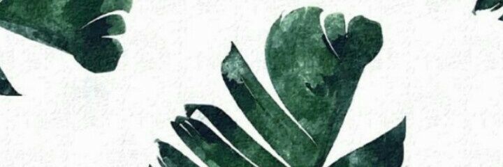 MIRIAMVS5's profile banner image