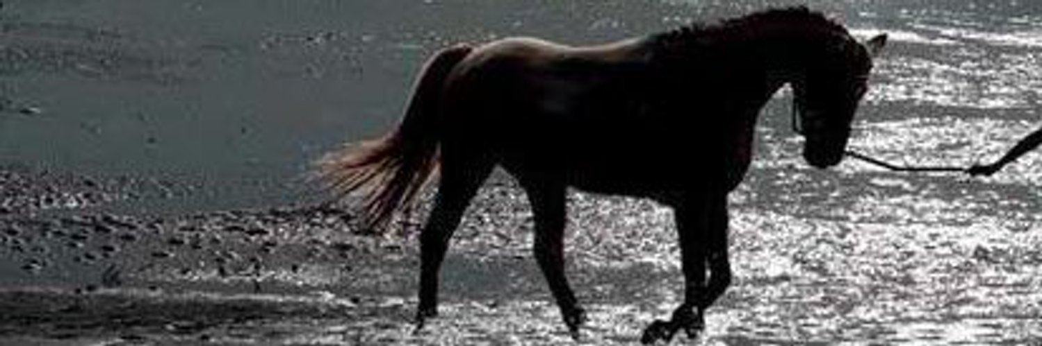 مهره banner