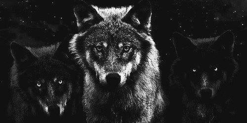 kendraheidi's profile banner image