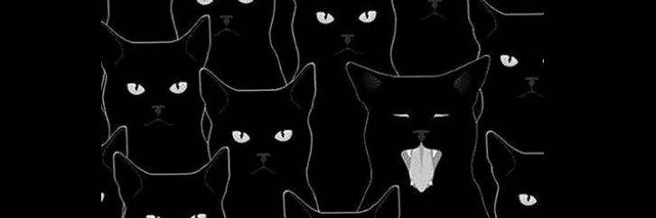 blancant8's profile banner image