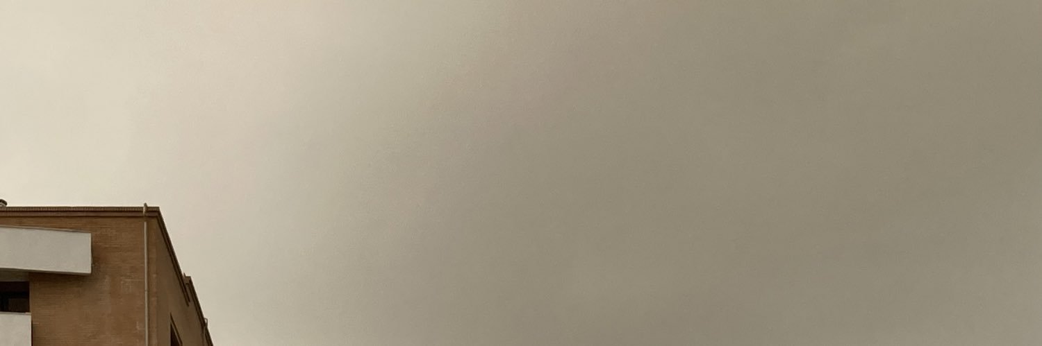 Marta banner