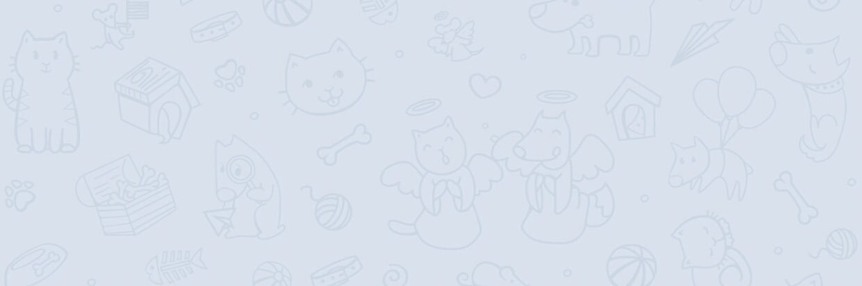 SarahGozz's profile banner image