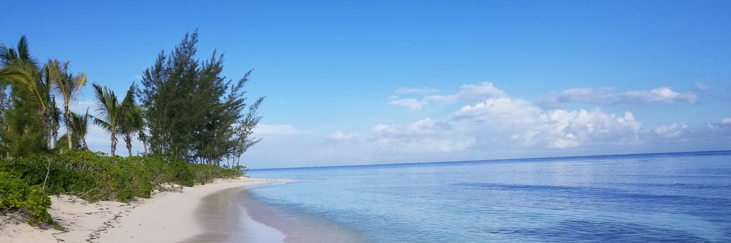 UTGirl315's profile banner image