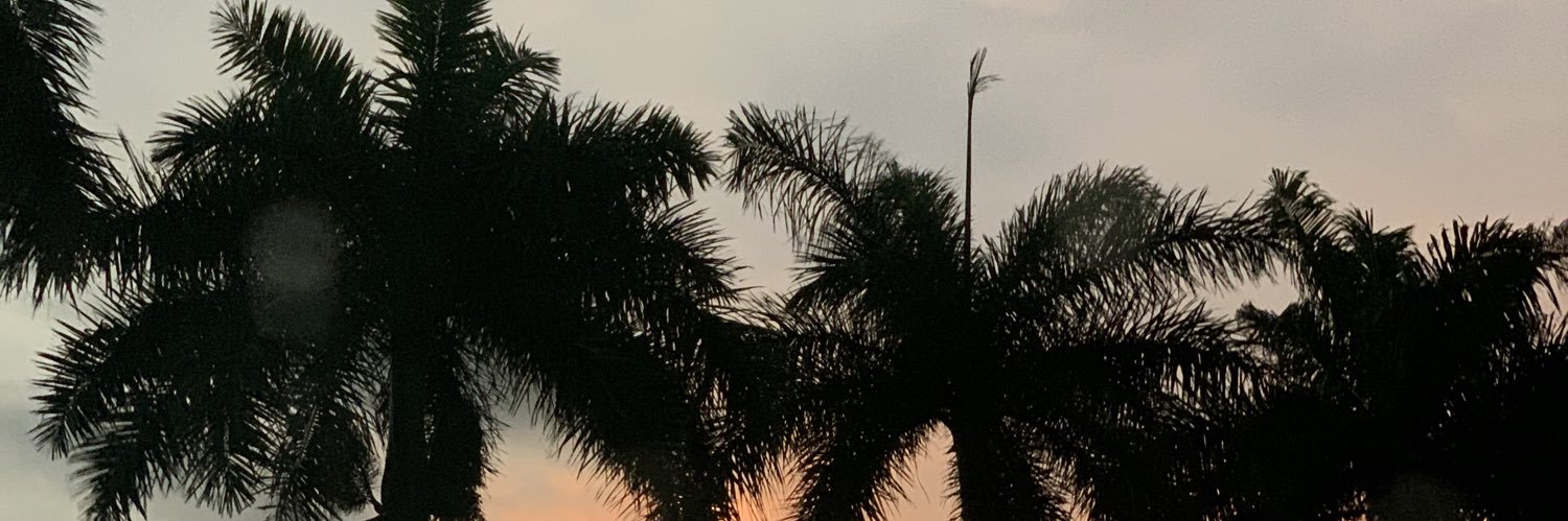 vndyc_'s profile banner image