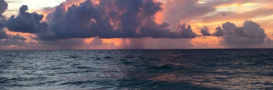_CurlyyBeauties's profile banner image