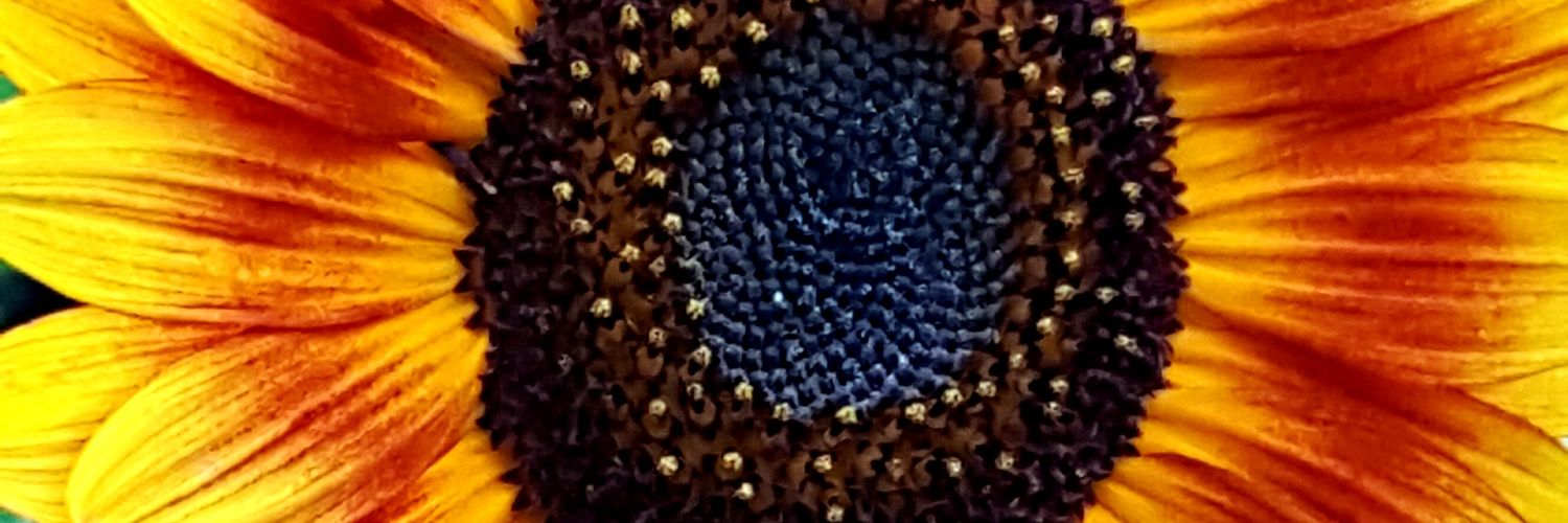 MelissaK_71's profile banner image