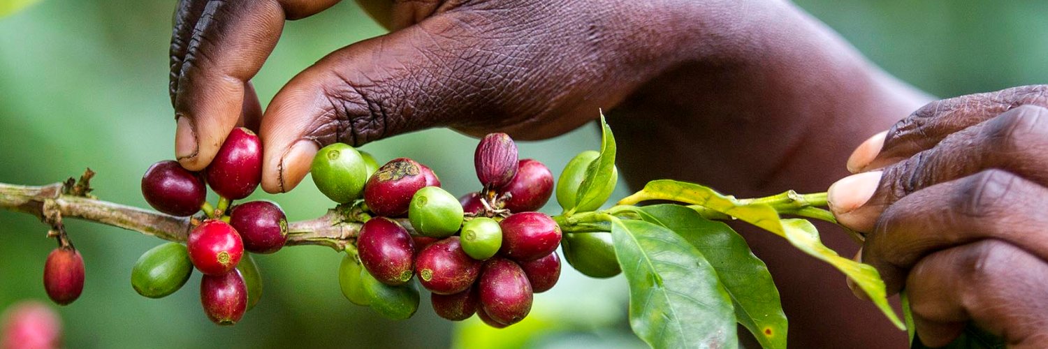 ICONNA 🎥📝📷 banner