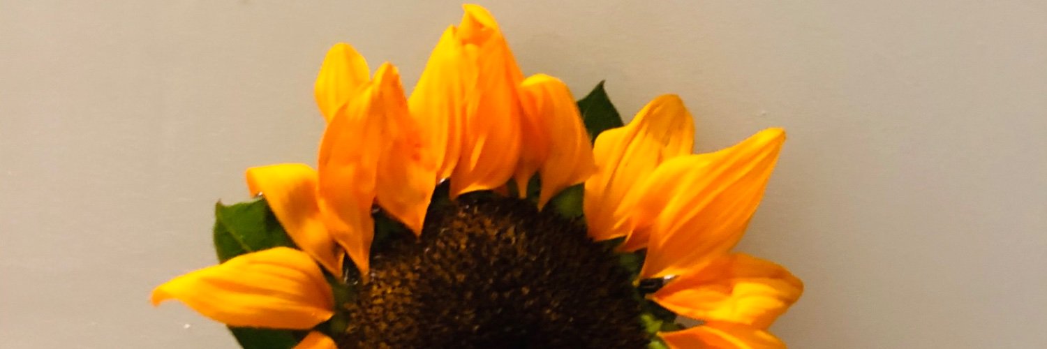 marythatLHEN's profile banner image