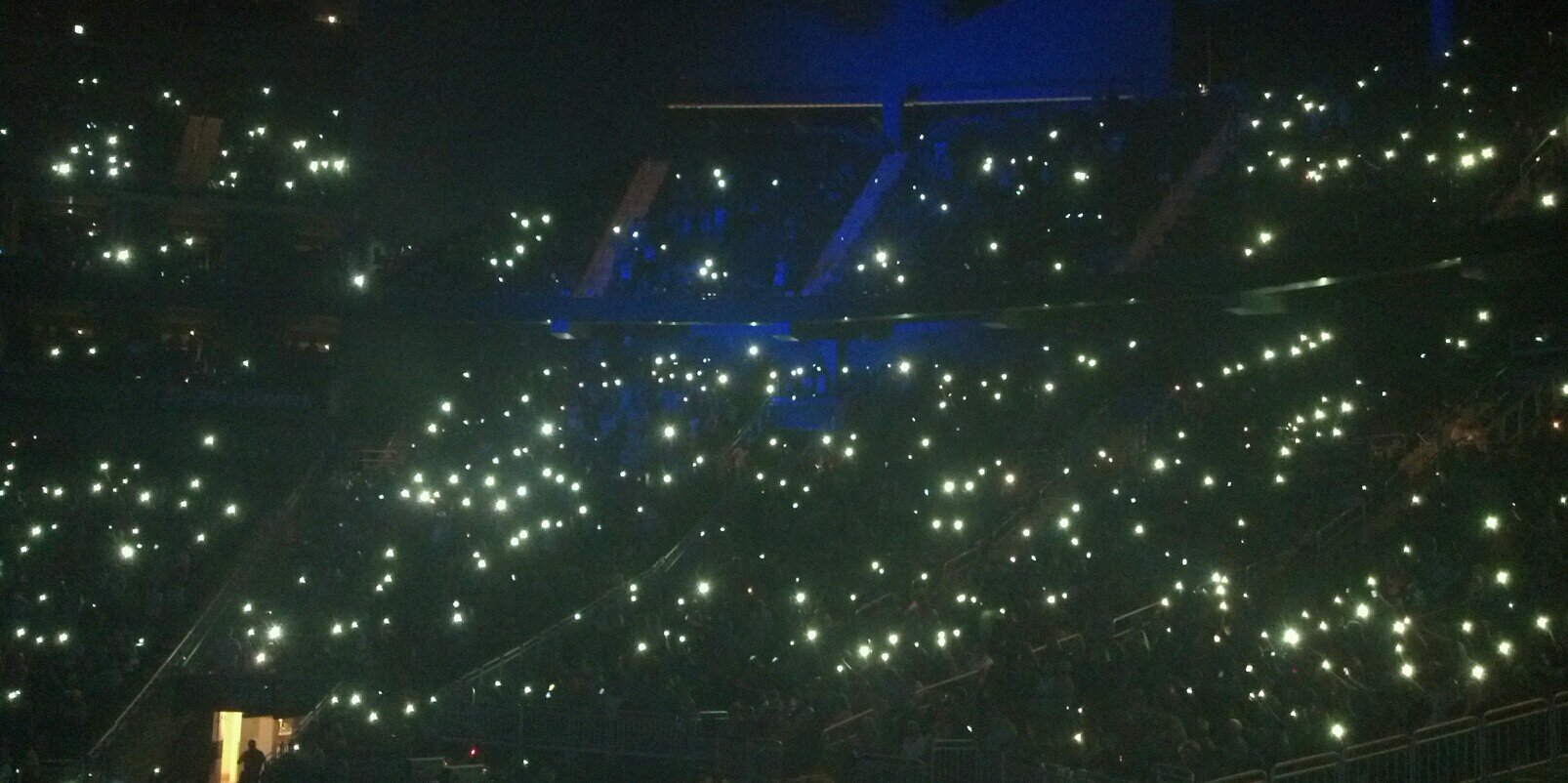 Trish Bach banner