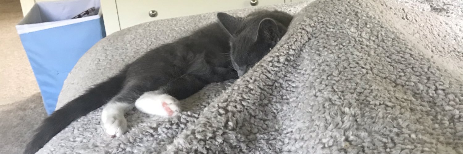 MadisonTayy_'s profile banner image