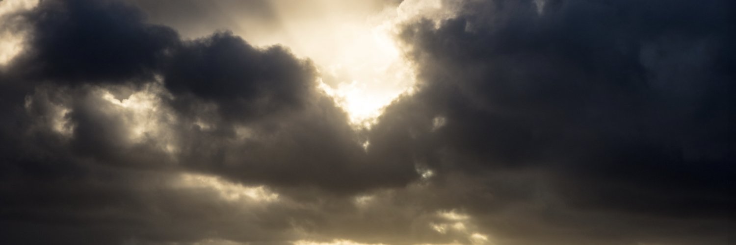 Nils banner
