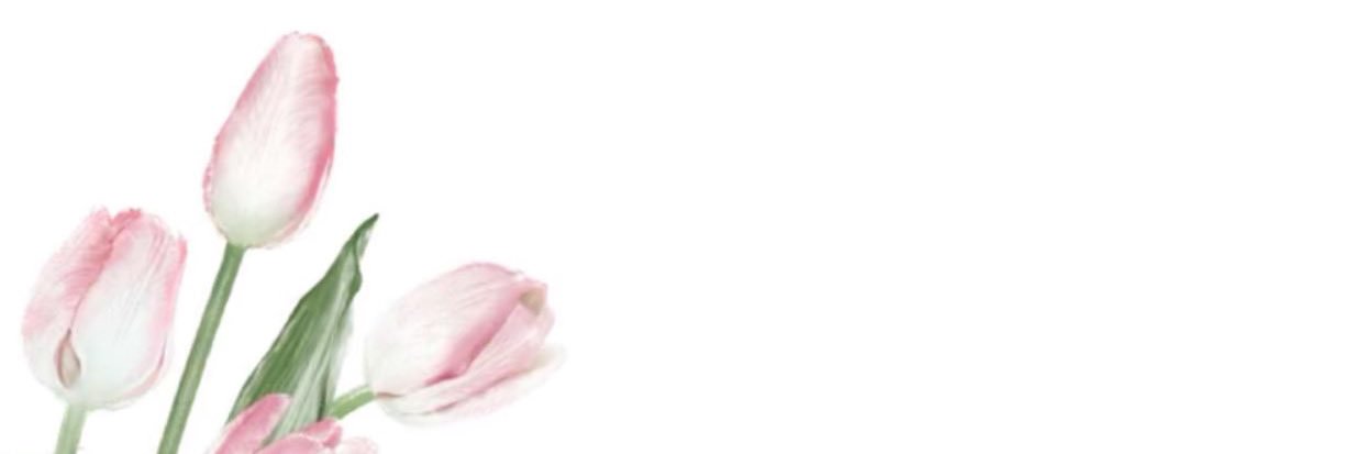 MnoSweeet's profile banner image