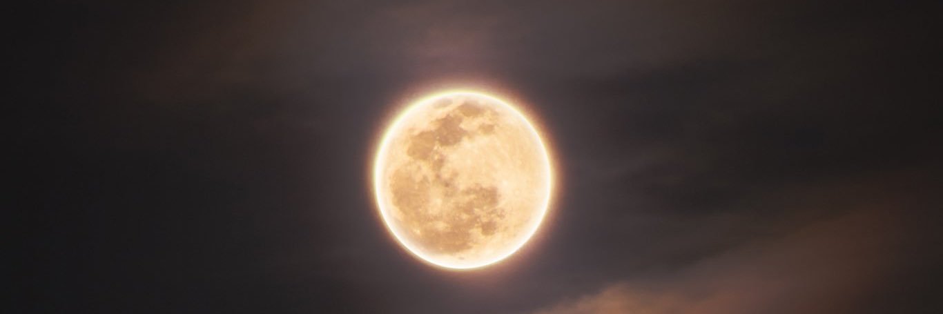 Aysha657's profile banner image