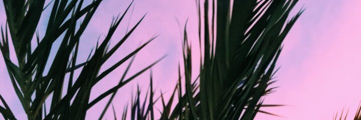 IrisRuiz15's profile banner image