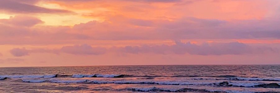 natashalee98's profile banner image