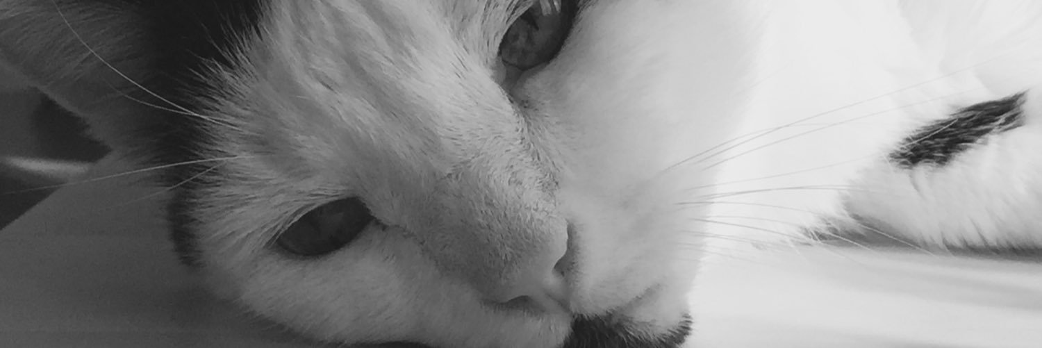 everhopeful64's profile banner image