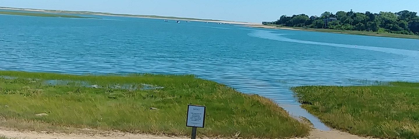 Steven  Leach banner