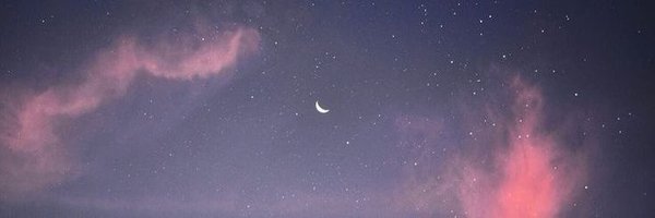 zshega Profile Banner