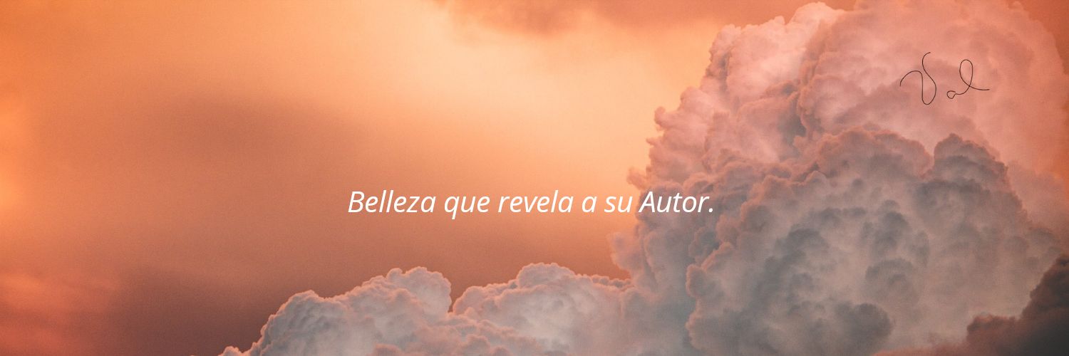 reberada's profile banner image