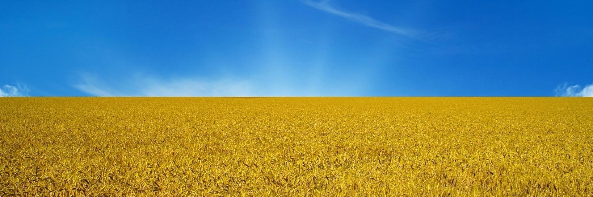 alex_milch's profile banner image