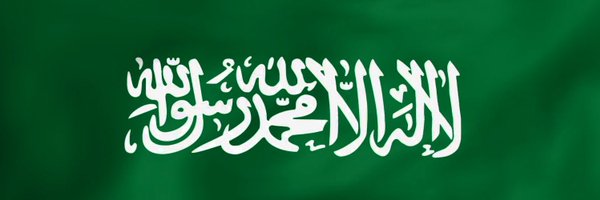 Salehalhweiriny Profile Banner