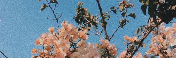 Andreaa_Rgueez's profile banner image