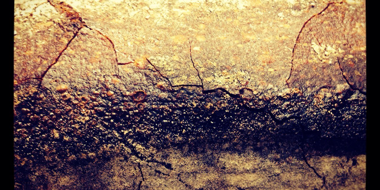 AntoninBonnet's profile banner image