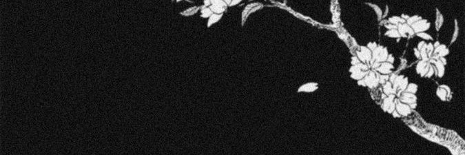 AndreaWhale's profile banner image
