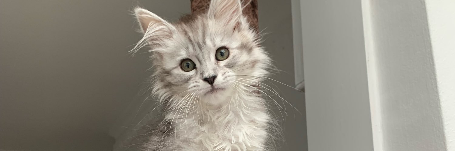 Edie Bens 🧚‍♂️✨ banner