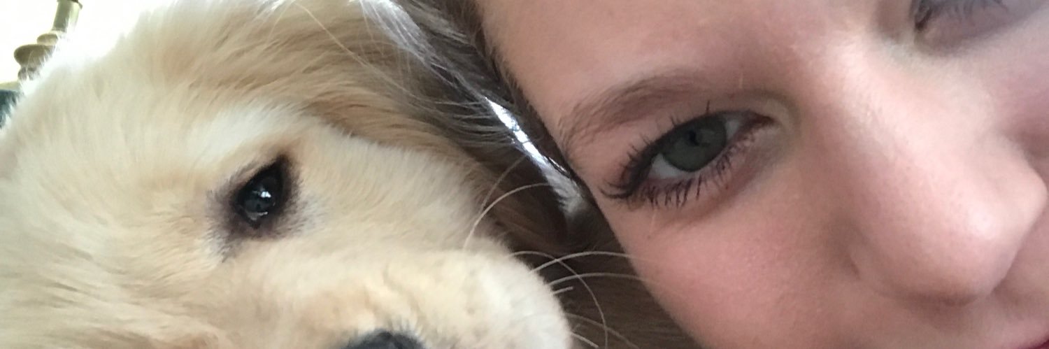 ZachPolites's profile banner image