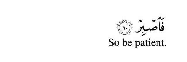 اروى نجار 𓂆 🤍 banner