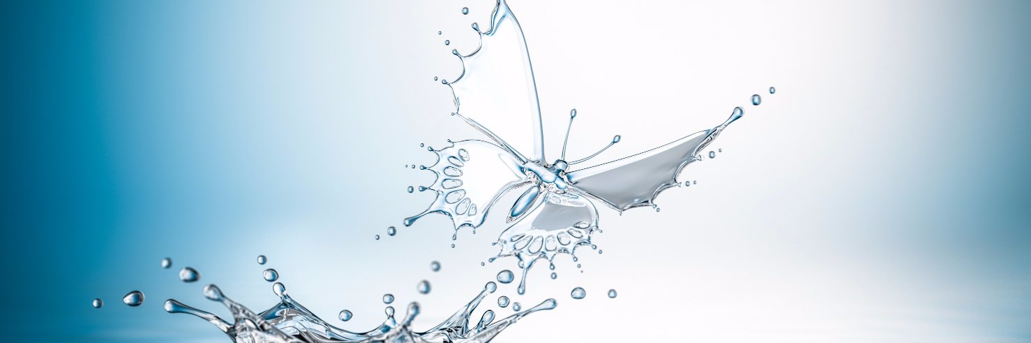 Susan Fonseca banner