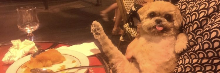 cindyb_real's profile banner image