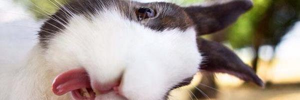 SoyMariAle's profile banner image