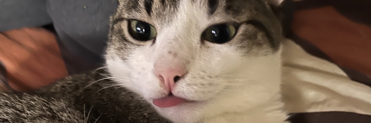 AnaaLucca's profile banner image