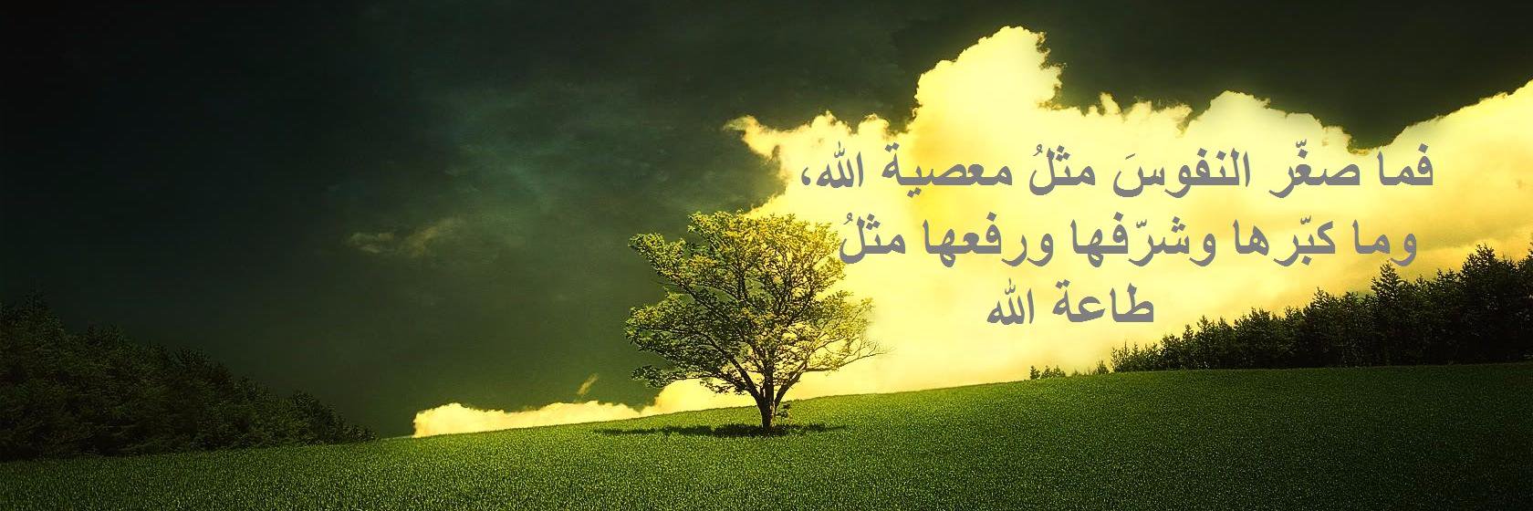 lat333_saa's profile banner image